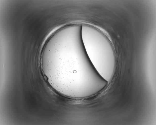 X0000086241279200703290957