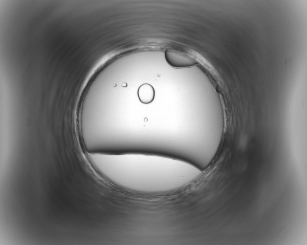 X0000086241283200703290957