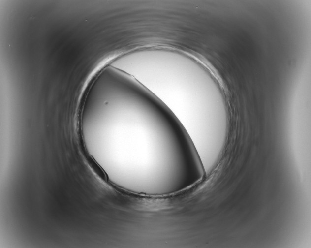 X0000086241285200703290957
