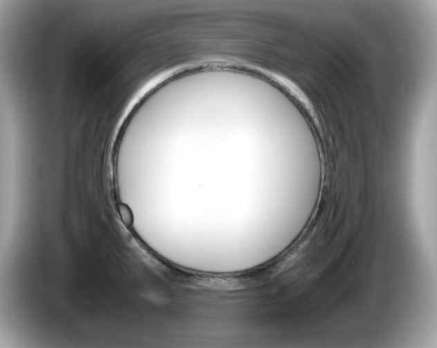 X0000086241287200703290957
