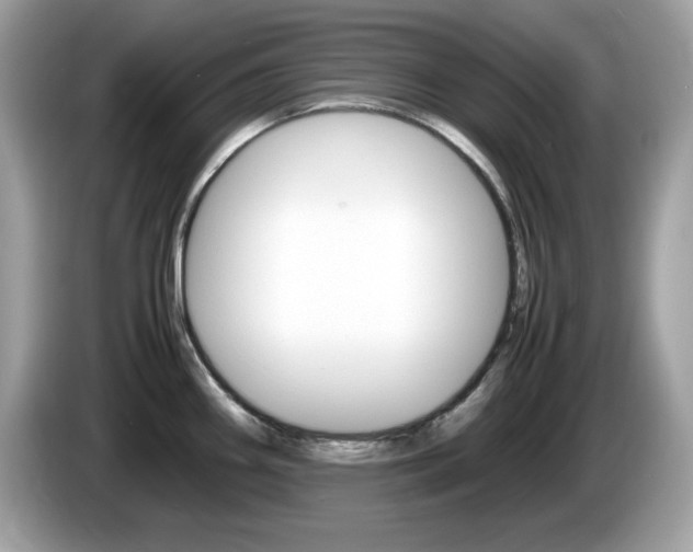 X0000086241290200703290957