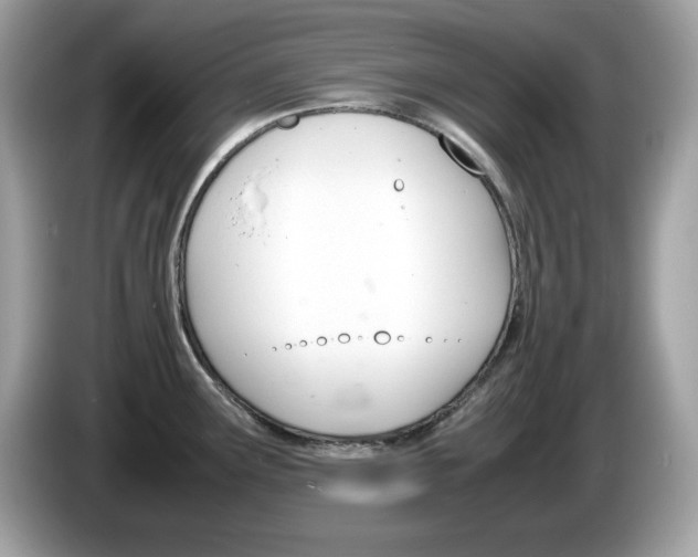 X0000086241291200703290957