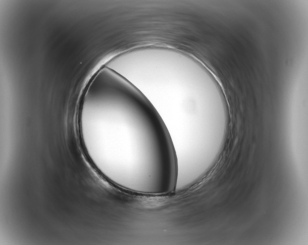 X0000086241293200703290957