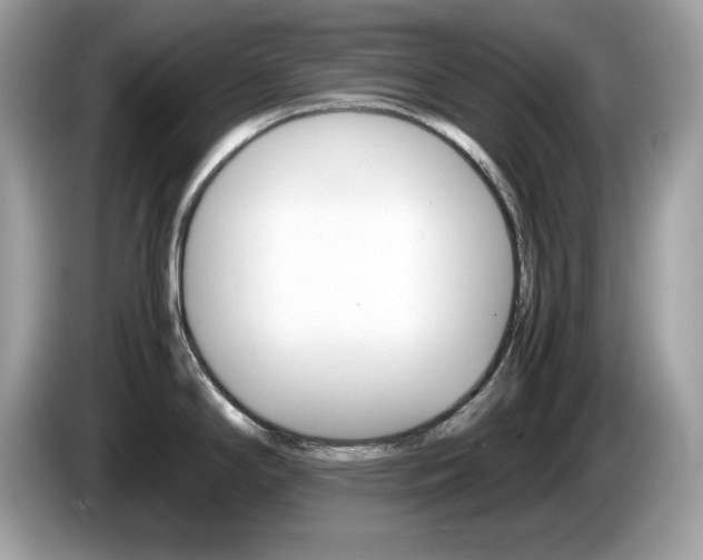 X0000086241294200703290957
