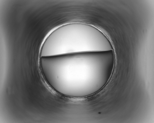 X0000086241296200703290957