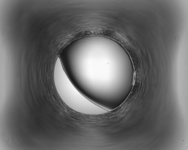 X0000086241298200703290956