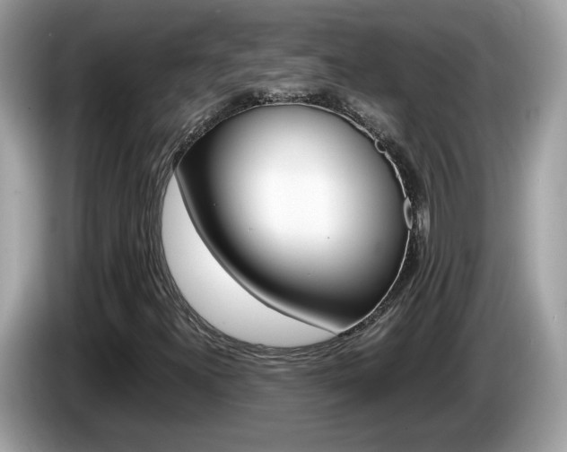 X0000086241300200703290956