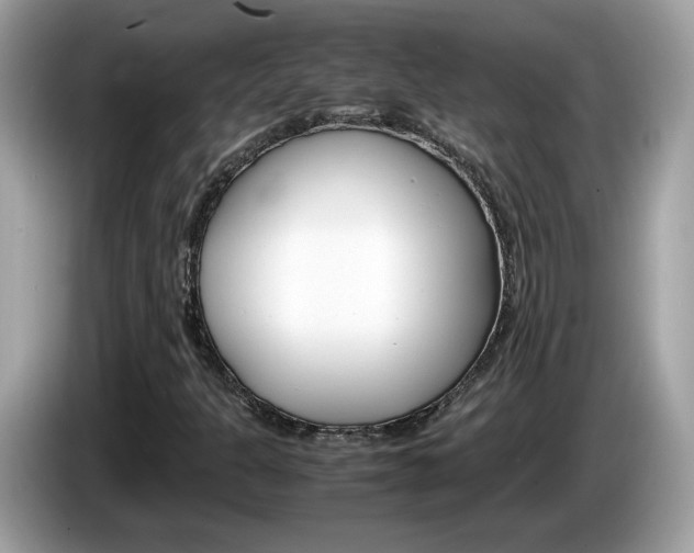 X0000086241301200703290956