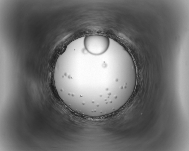 X0000086241302200703290956