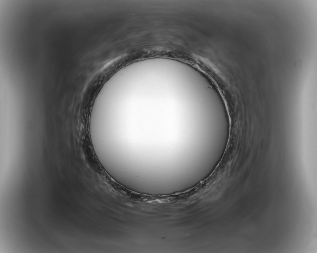 X0000086241303200703290956