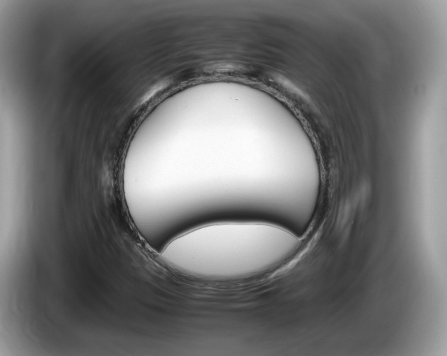 X0000086241305200703290956
