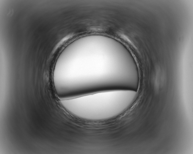 X0000086241307200703290956