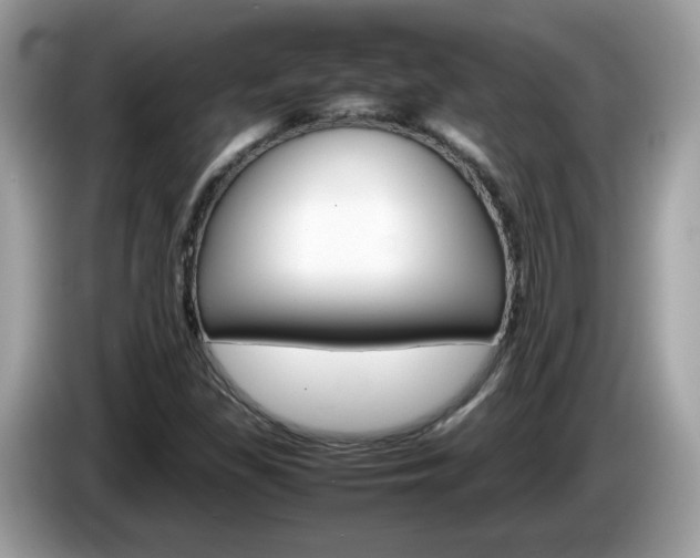 X0000086241309200703290957