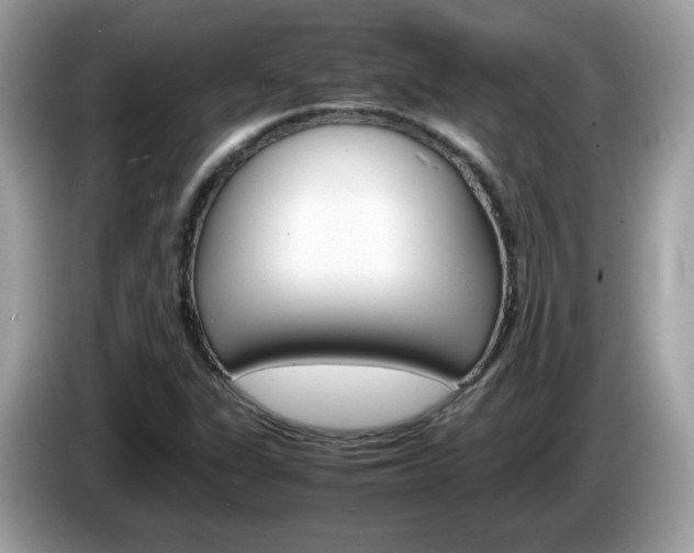X0000086241311200703290957