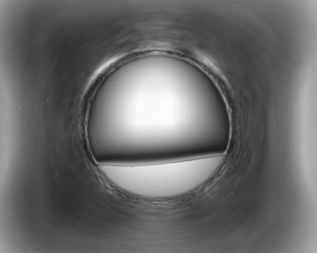 X0000086241312200703290957