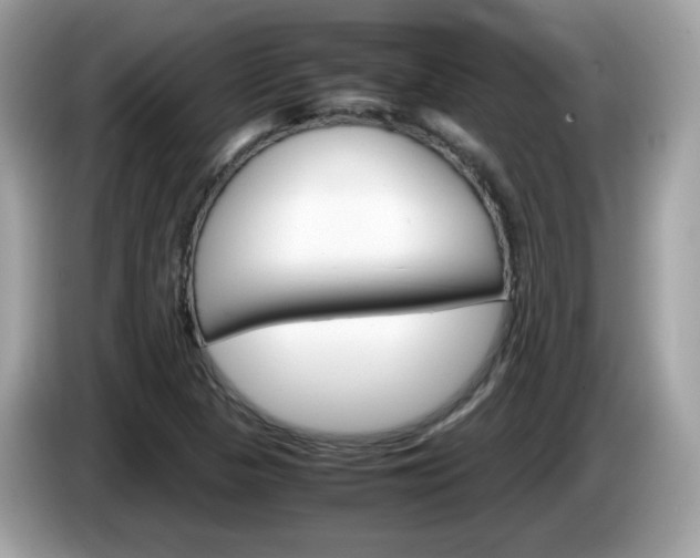 X0000086241313200703290957