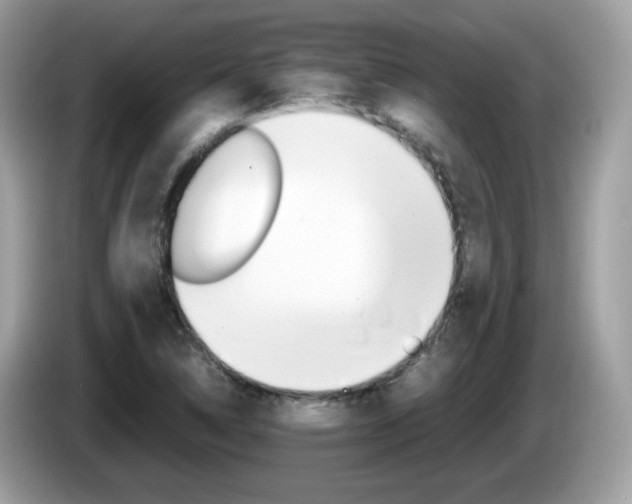 X0000086241314200703290957