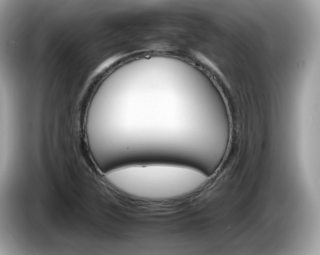 X0000086241315200703290957