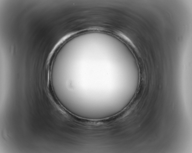 X0000086241323200703290957