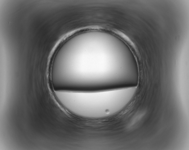 X0000086241327200703290957