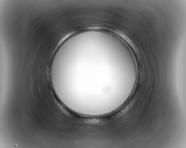 X0000086241329200703290957