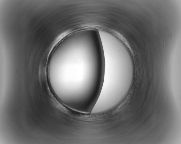 X0000086241330200703290957