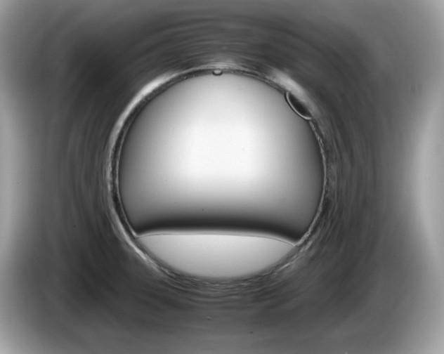 X0000086241331200703290957