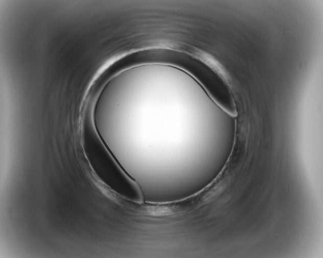 X0000086241332200703290957