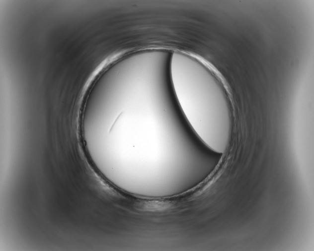 X0000086241333200703290957