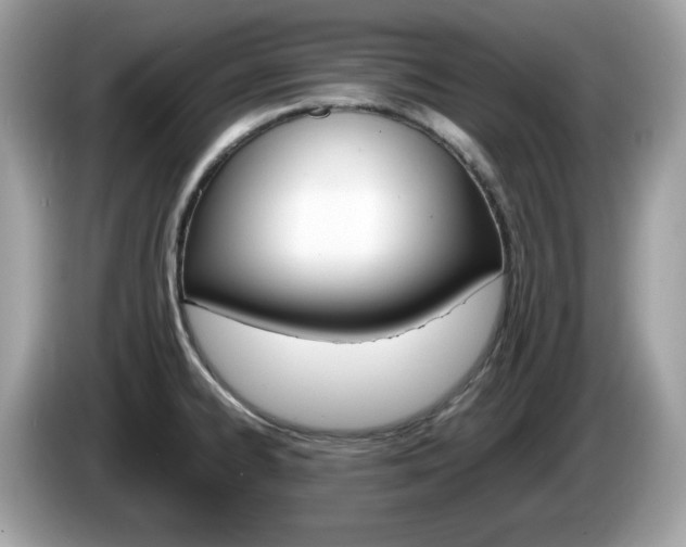 X0000086241334200703290957