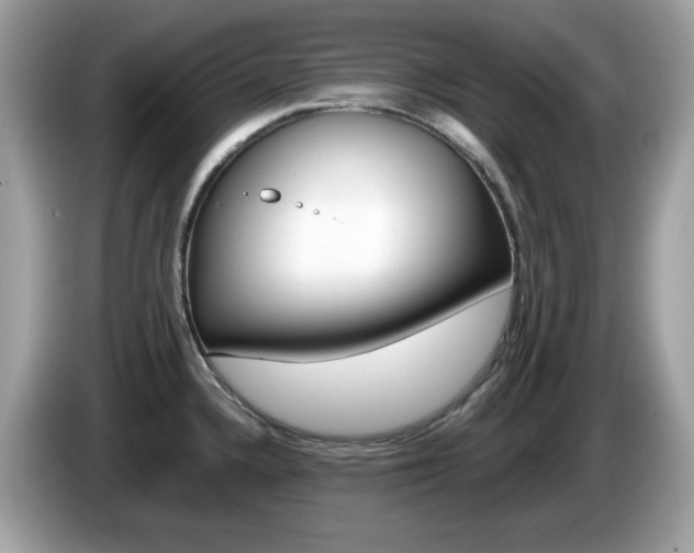 X0000086241336200703290957