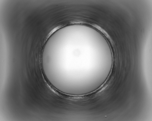 X0000086241337200703290957