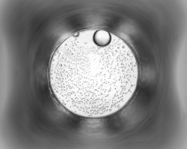 X0000086241338200703290957
