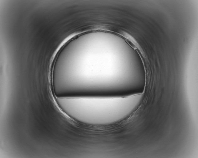 X0000086241339200703290957