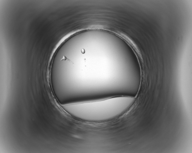 X0000086241340200703290957