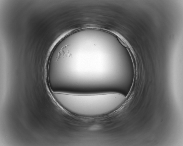 X0000086241341200703290957