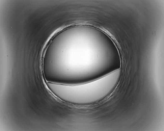 X0000086241342200703290957