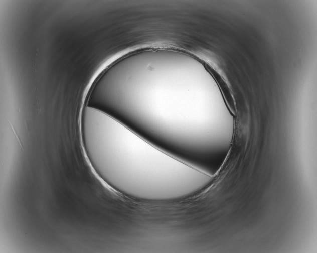 X0000086241343200703290957
