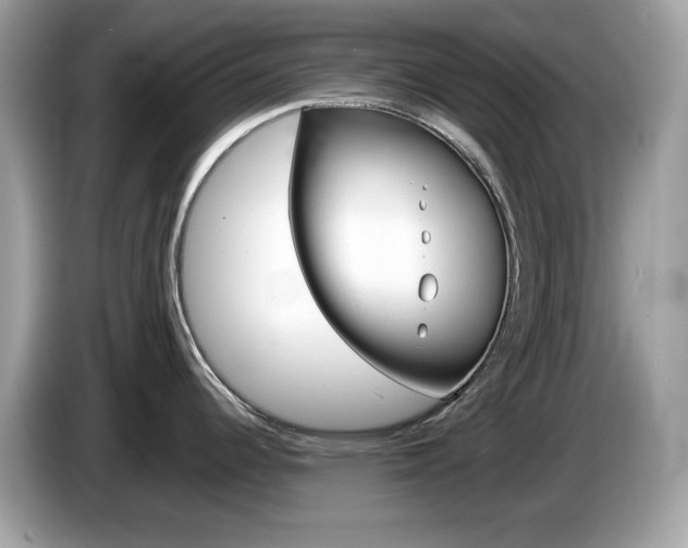 X0000086241344200703290957