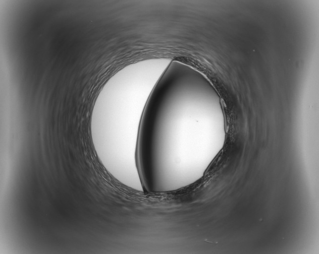 X0000086241345200703290956