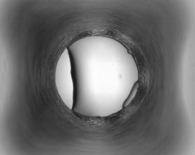 X0000086241346200703290956