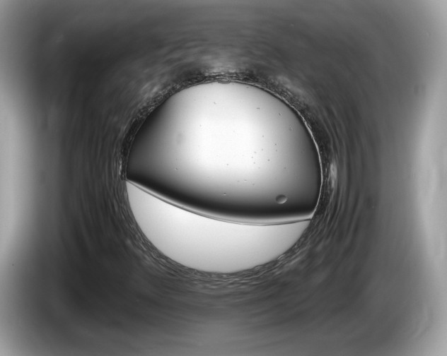 X0000086241348200703290956