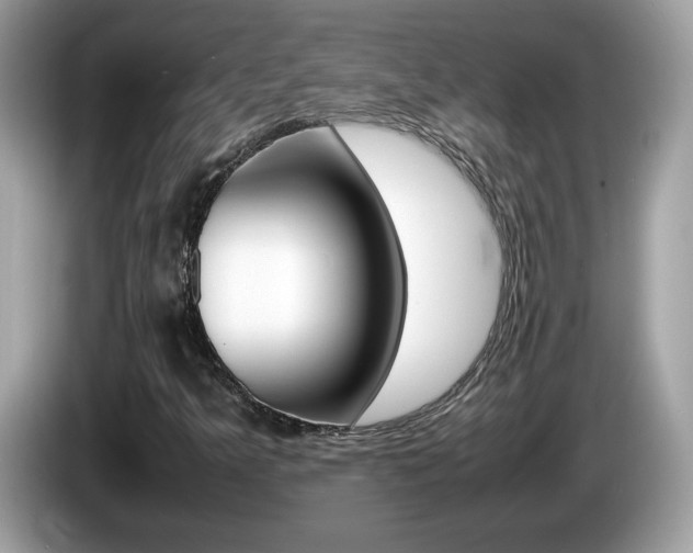 X0000086241349200703290956