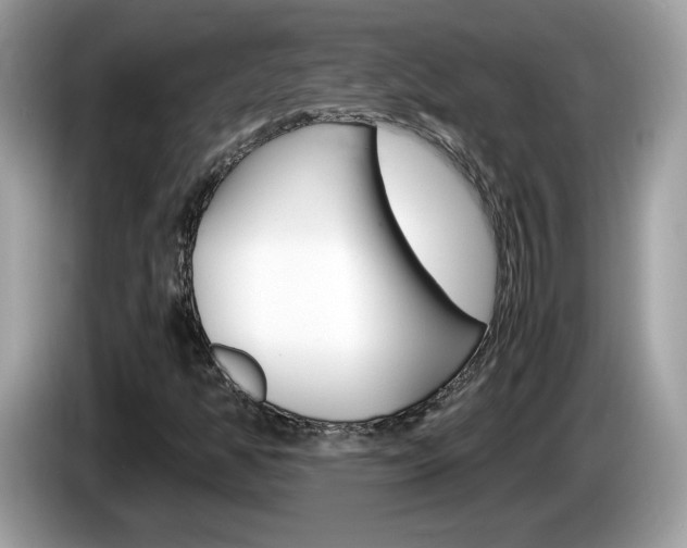 X0000086241350200703290956