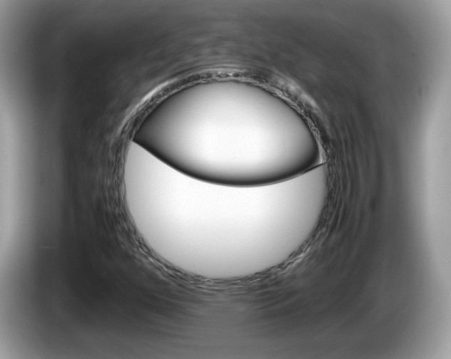 X0000086241352200703290956