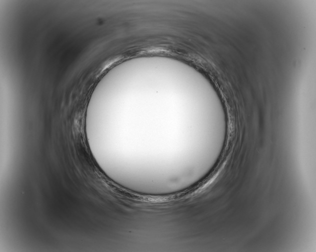 X0000086241353200703290956