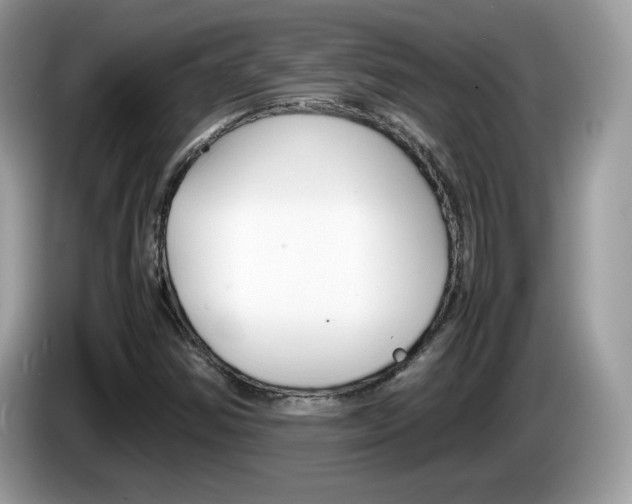 X0000086241354200703290956