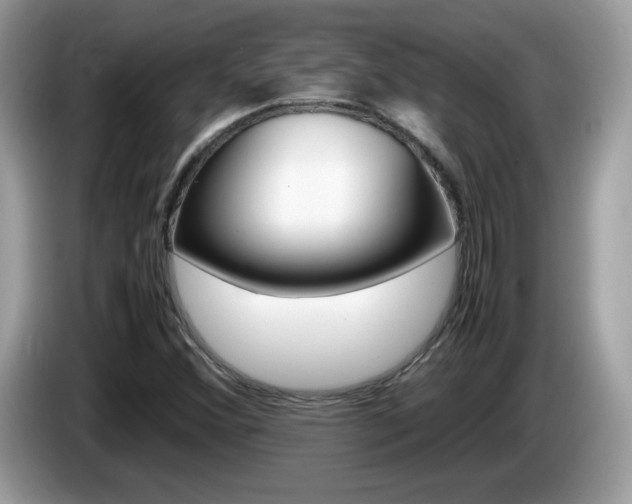 X0000086241356200703290956