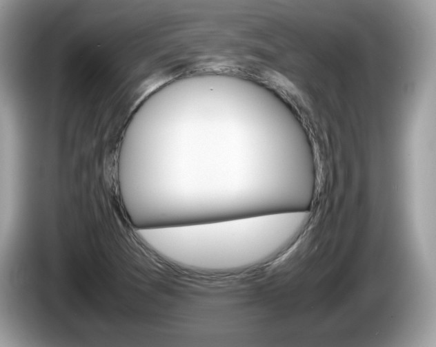 X0000086241361200703290956