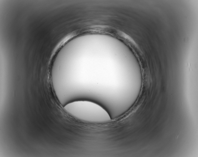 X0000086241362200703290956